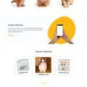 kitten-pet-care-pet-shop-website-template