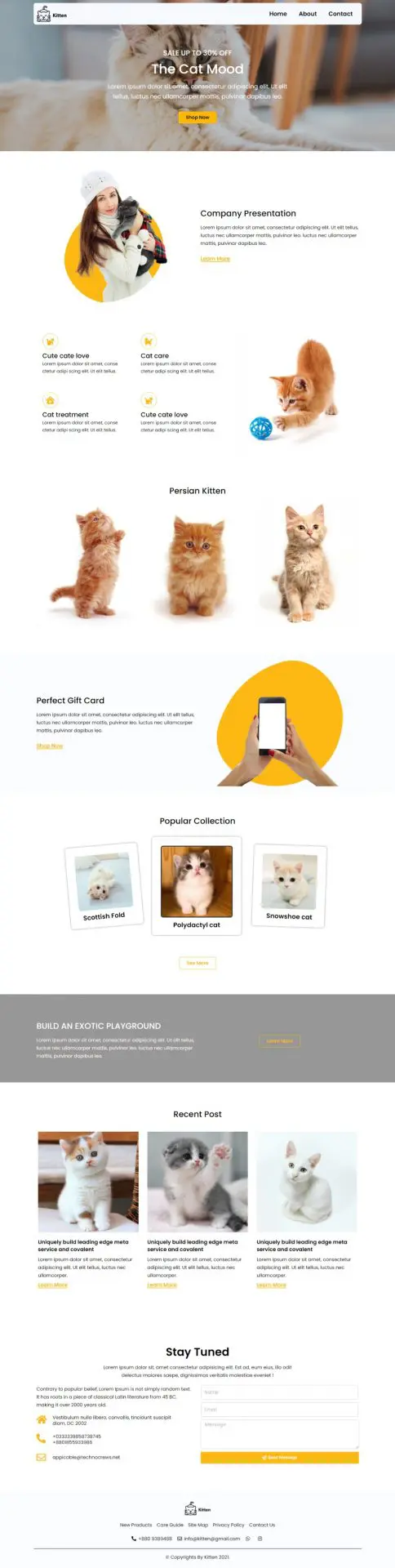 kitten-pet-care-pet-shop-website-template