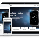 Luxury Watch - Amazon Product Review