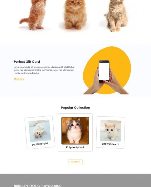 kitten-pet-care-pet-shop-website-template